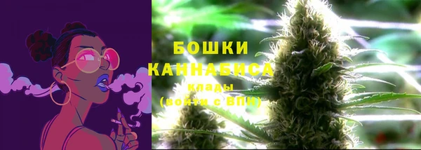 ГАЛЛЮЦИНОГЕННЫЕ ГРИБЫ Балабаново