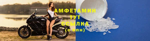 PSILOCYBIN Михайлов