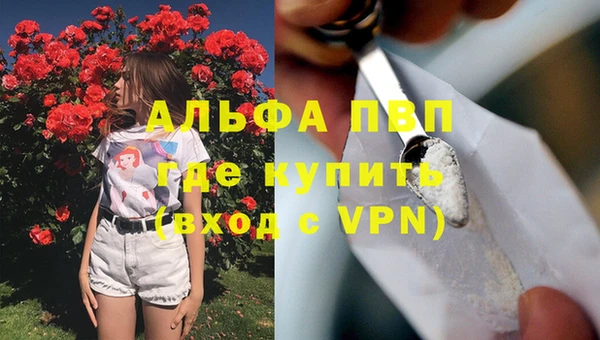 крисы Аркадак