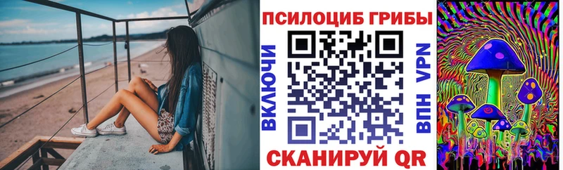 Галлюциногенные грибы прущие грибы  ОМГ ОМГ сайт  Северобайкальск 